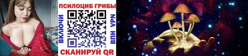 Псилоцибиновые грибы Cubensis  Барыш 